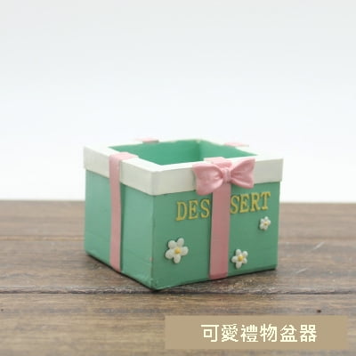 迷你多肉禮盒造型