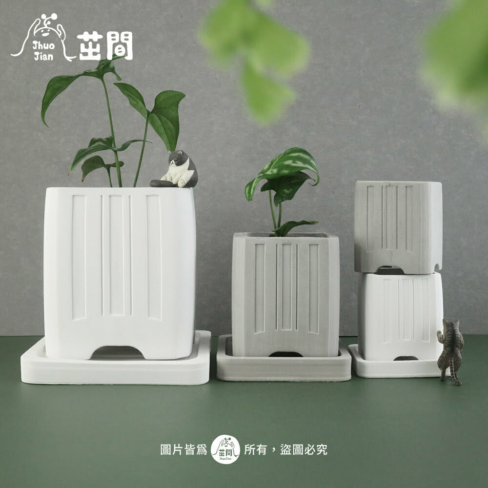 根泥長高 水泥盆組