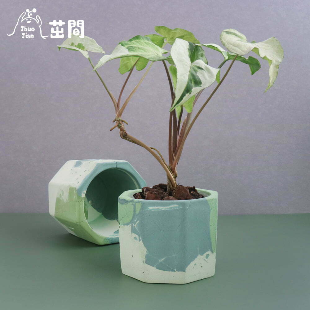 斑葉理石紋 八角水泥盆