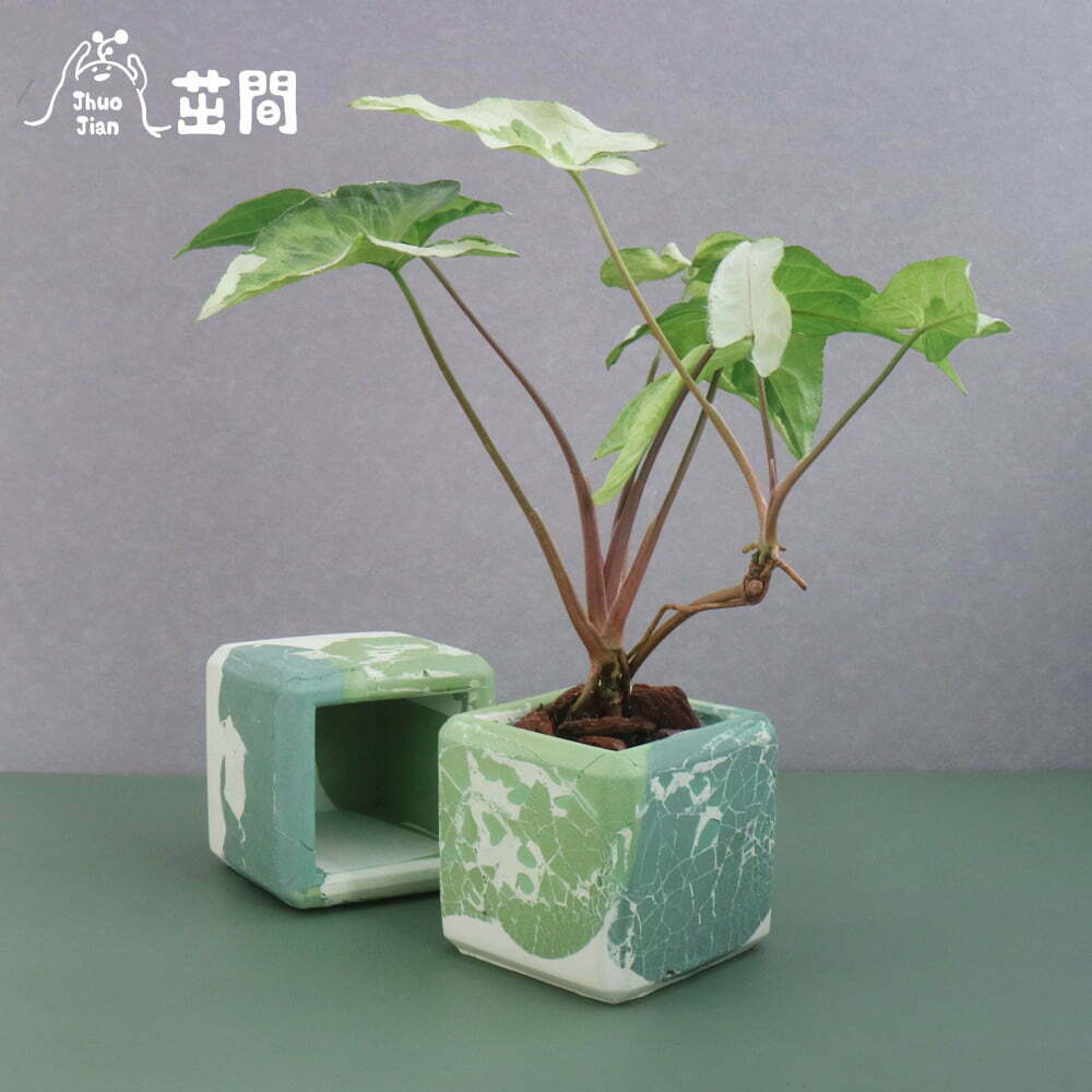 斑葉理石紋 方形水泥盆