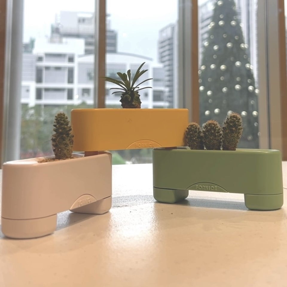楓萊詩有栽盆