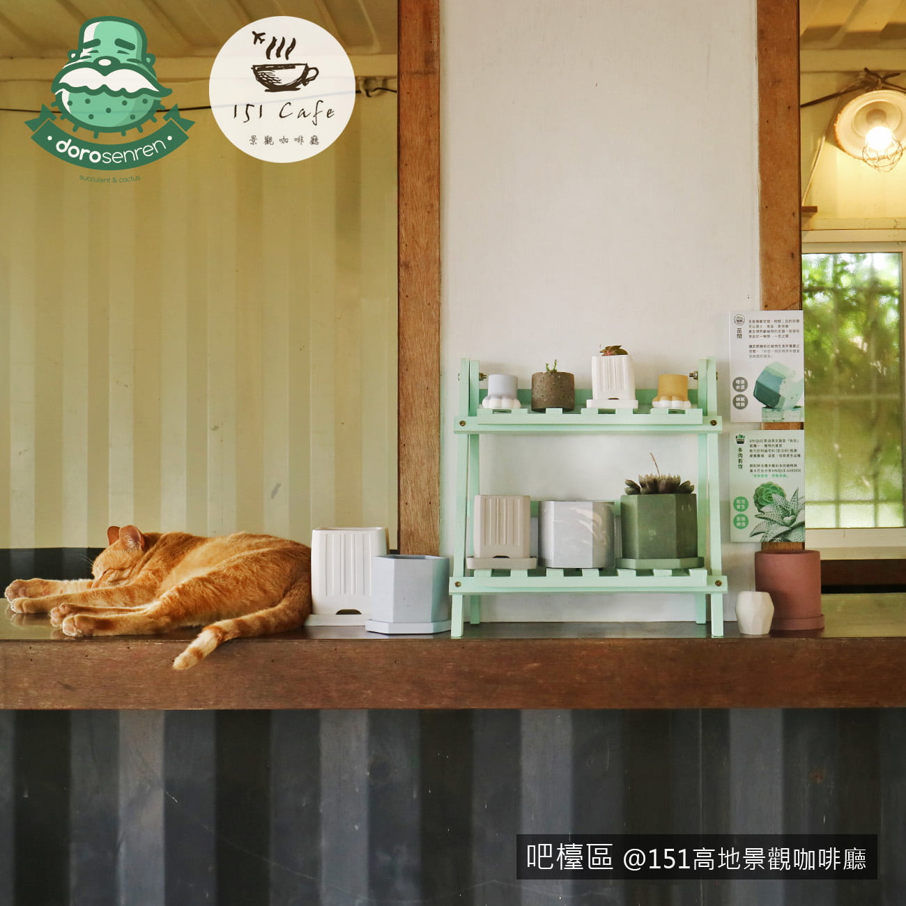 綠化店舖 151高地景觀咖啡廳 吧檯區