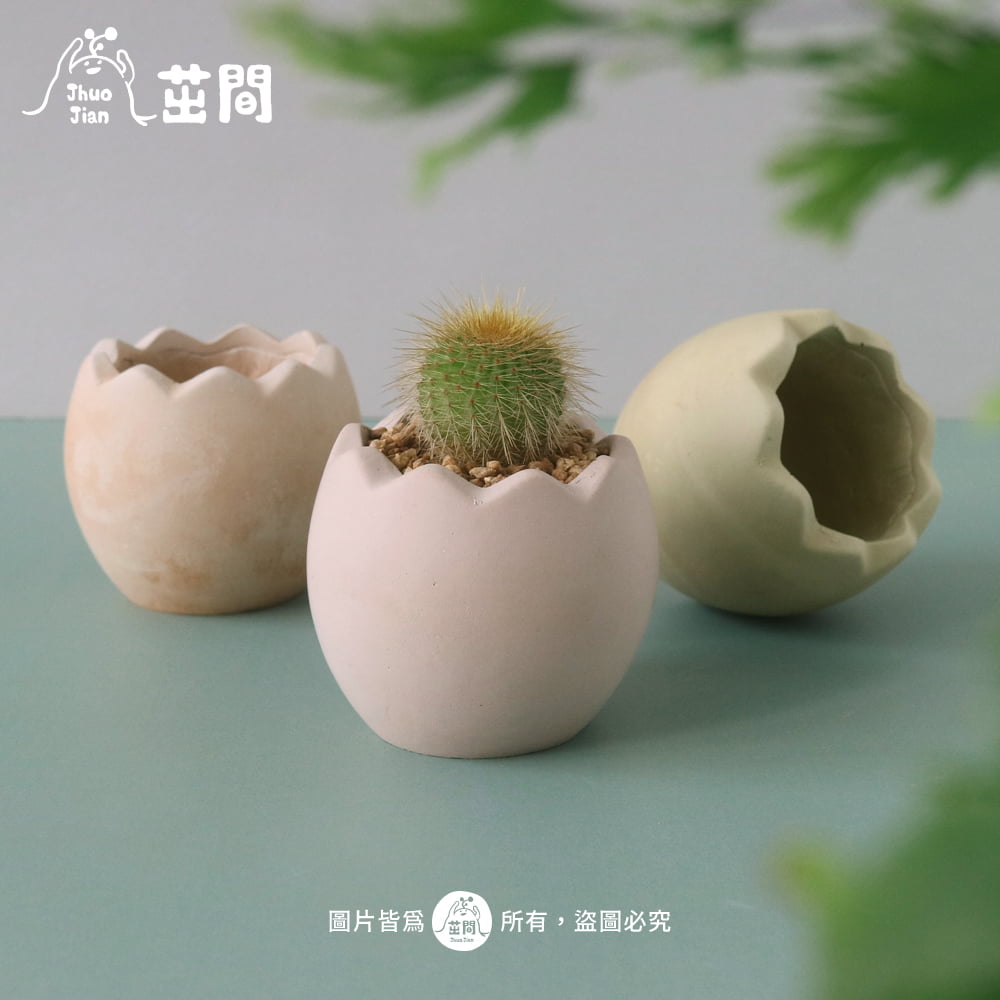 缺蛋來一顆 蛋殼水泥盆