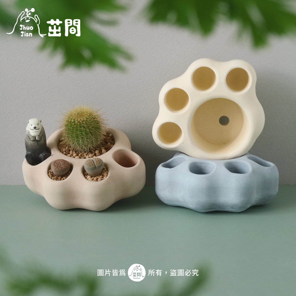 大小洞貓掌 造型水泥盆